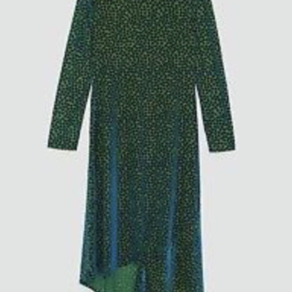 Zara velvet polka dot dress